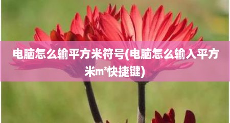 电脑怎么输平方米符号(电脑怎么输入平方米㎡快捷键)