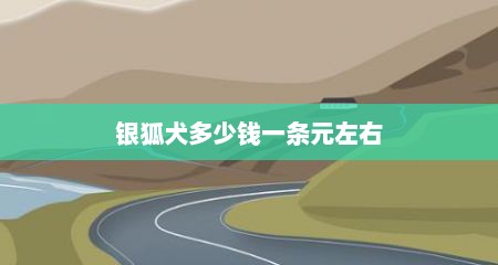银狐犬多少钱一条元左右