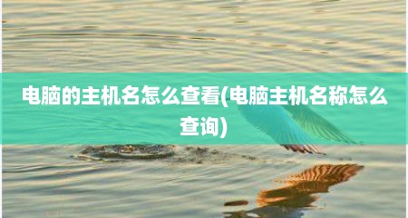 电脑的主机名怎么查看(电脑主机名称怎么查询)