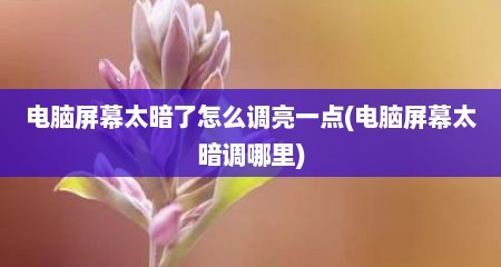 电脑屏幕太暗了怎么调亮一点(电脑屏幕太暗调哪里)