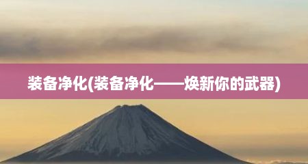 装备净化(装备净化——焕新你的武器)