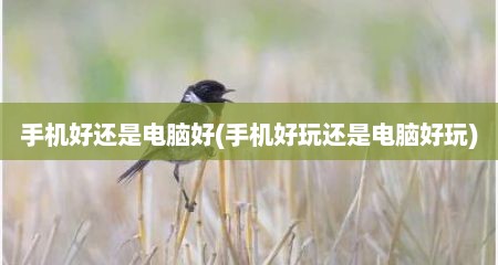 手机好还是电脑好(手机好玩还是电脑好玩)