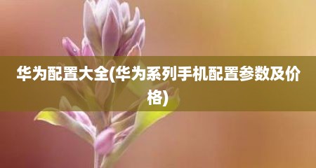 华为配置大全(华为系列手机配置参数及价格)