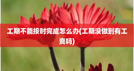 工期不能按时完成怎么办(工期没做到有工资吗)