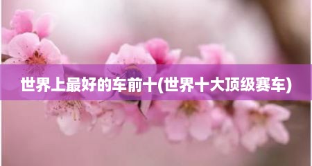 世界上最好的车前十(世界十大顶级赛车)