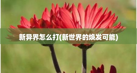 新异界怎么打(新世界的焕发可能)