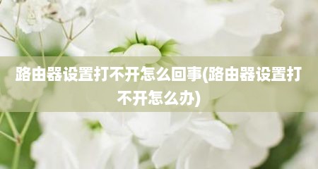 路由器设置打不开怎么回事(路由器设置打不开怎么办)