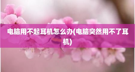 电脑用不起耳机怎么办(电脑突然用不了耳机)
