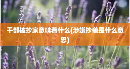 干部被抄家意味着什么(涉嫌抄袭是什么意思)
