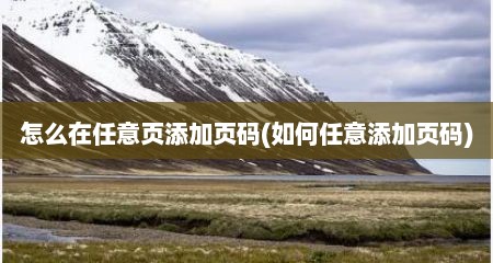 怎么在任意页添加页码(如何任意添加页码)