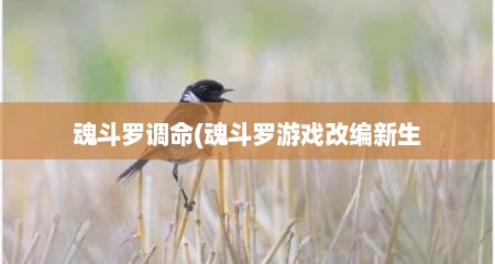 魂斗罗调命(魂斗罗游戏改编新生