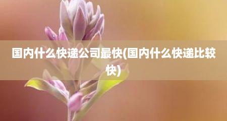 国内什么快递公司最快(国内什么快递比较快)