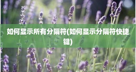 如何显示所有分隔符(如何显示分隔符快捷键)