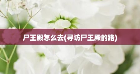 尸王殿怎么去(寻访尸王殿的路)