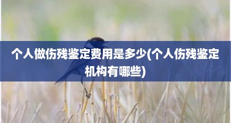 个人做伤残鉴定费用是多少(个人伤残鉴定机构有哪些)