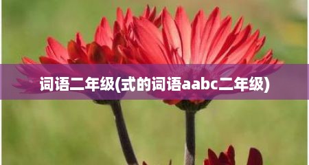 词语二年级(式的词语aabc二年级)