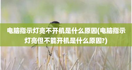 电脑指示灯亮不开机是什么原因(电脑指示灯亮但不能开机是什么原因?)