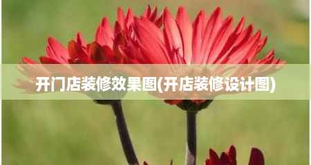 开门店装修效果图(开店装修设计图)