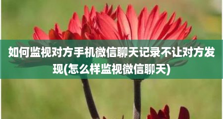 如何监视对方手机微信聊天记录不让对方发现(怎么样监视微信聊天)