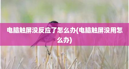电脑触屏没反应了怎么办(电脑触屏没用怎么办)
