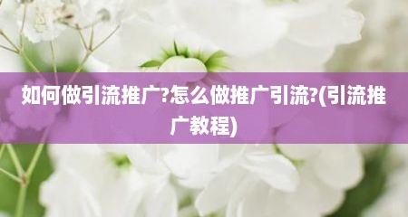 如何做引流推广?怎么做推广引流?(引流推广教程)