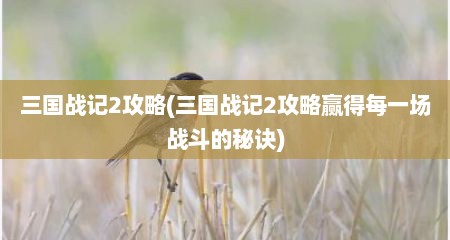 三国战记2攻略(三国战记2攻略赢得每一场战斗的秘诀)