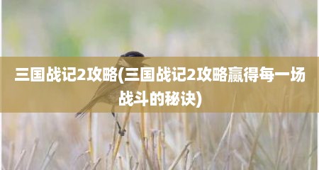 三国战记2攻略(三国战记2攻略赢好每一场战斗的秘诀)