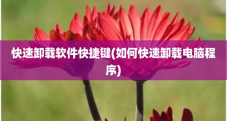 快速卸载软件快捷键(如何快速卸载电脑程序)