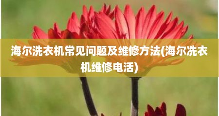 海尔洗衣机常见问题及维修方法(海尔冼衣机维修电活)