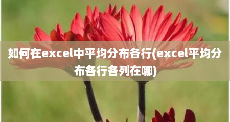如何在excel中平均分布各行(excel平均分布各行各列在哪)