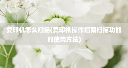 复印机怎么扫描(复印机操作指南扫描功能的使用方法)