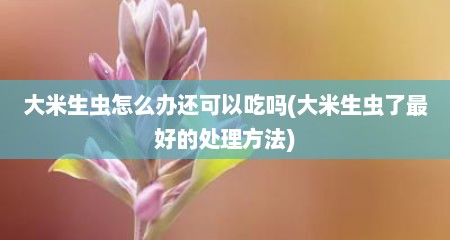 大米生虫怎么办还可以吃吗(大米生虫了最好的处理方法)