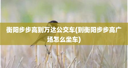 衡阳步步高到万达公交车(到衡阳步步高广场怎么坐车)