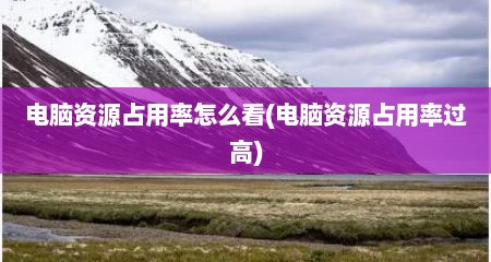 电脑资源占用率怎么看(电脑资源占用率过高)