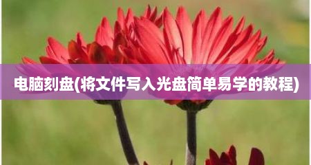 电脑刻盘(将文件写入光盘简单易学的教程)