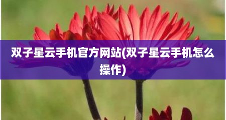 双子星云手机官方网站(双子星云手机怎么操作)