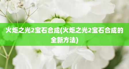 火炬之光2宝石合成(火炬之光2宝石合成的全新方法)