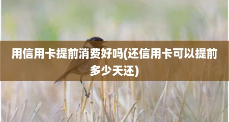 用信用卡提前消费好吗(还信用卡可以提前多少天还)