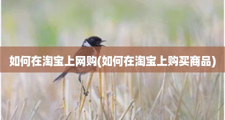 如何在淘宝上网购(如何在淘宝上购买商品)