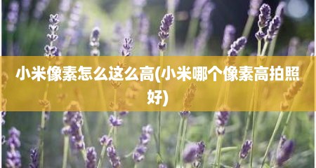 小米像素怎么这么高(小米哪个像素高拍照好)