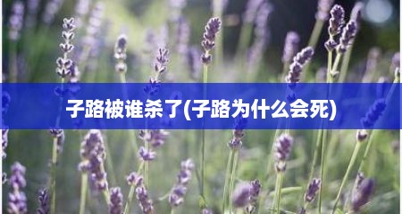 子路被谁杀了(子路为什么会死)
