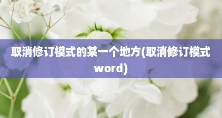 取消修订模式的某一个地方(取消修订模式word)