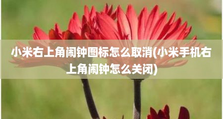 小米右上角闹钟图标怎么取消(小米手机右上角闹钟怎么关闭)