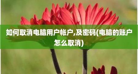 如何取消电脑用户帐户,及密码(电脑的账户怎么取消)