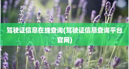 驾驶证信息在线查询(驾驶证信息查询平台官网)