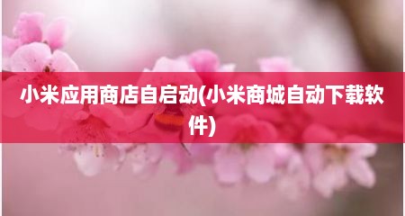 小米应用商店自启动(小米商城自动下载软件)