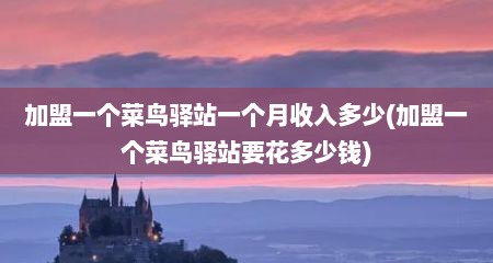 加盟一个菜鸟驿站一个月收入多少(加盟一个菜鸟驿站要花多少钱)