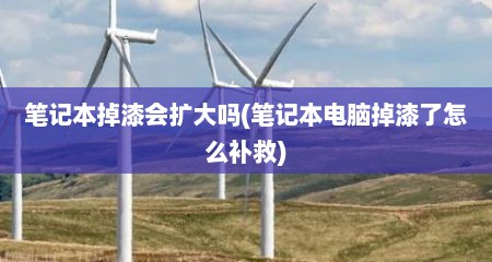 笔记本掉漆会扩大吗(笔记本电脑掉漆了怎么补救)