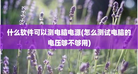 什么软件可以测电脑电源(怎么测试电脑的电压够不够用)