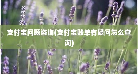 支付宝问题咨询(支付宝账单有疑问怎么查询)